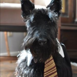 Meet your Posher, Cheri